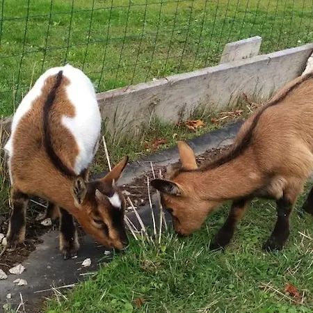 Charmante Petite Maison A La Campagne Feriehus *