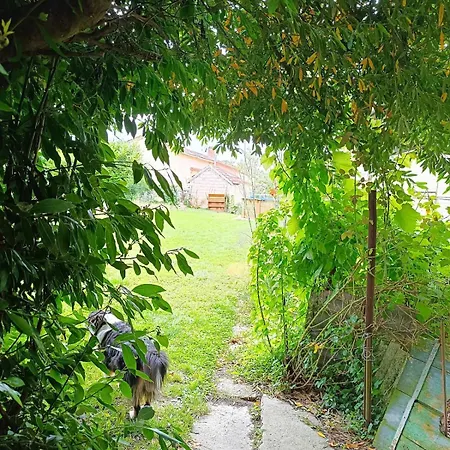 Charmante Petite Maison A La Campagne Nyaraló Soulanges