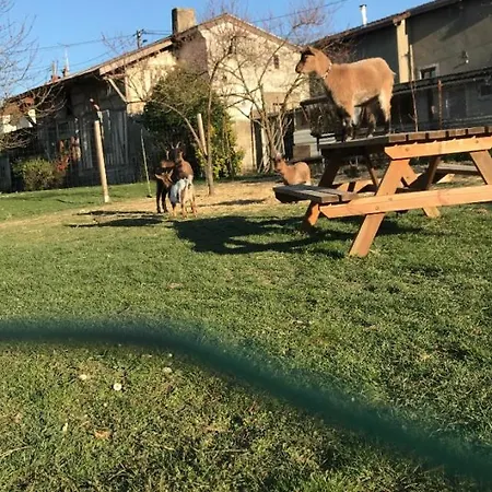 Charmante Petite Maison A La Campagne Vakantiehuis *